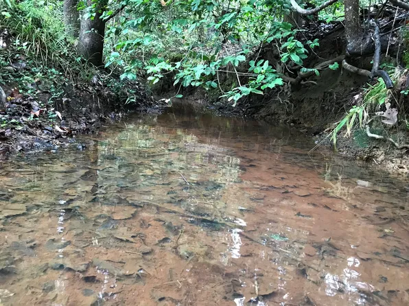 Fm 125, Kildare, TX 75562