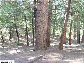5th image of 29829 Mariposa Dr