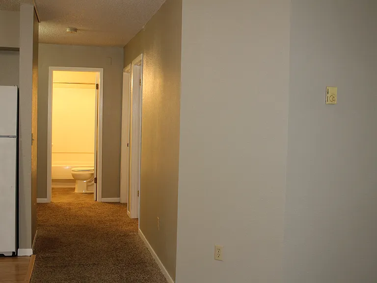 Apt 202 - 12_11192019