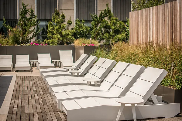 Rented by Greystar | media 62