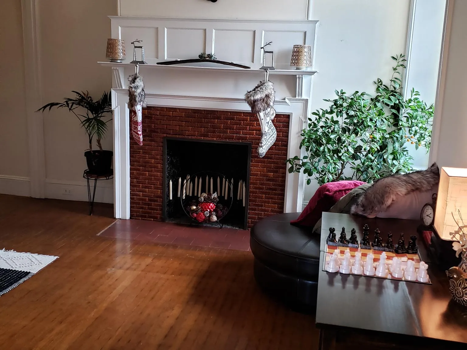 1 bed, 962 sqft, $1,895 — Photo 2