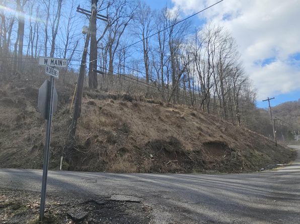 W Catherine St, Rowlesburg, WV 26425