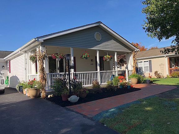 Professional landscape