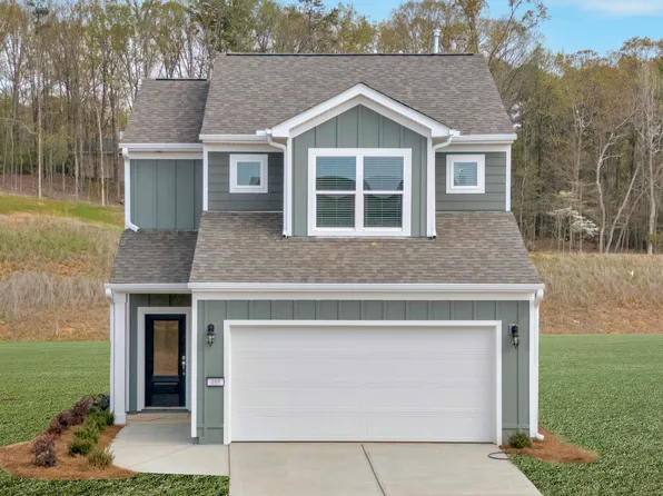 The Amber Plan, Salacoa