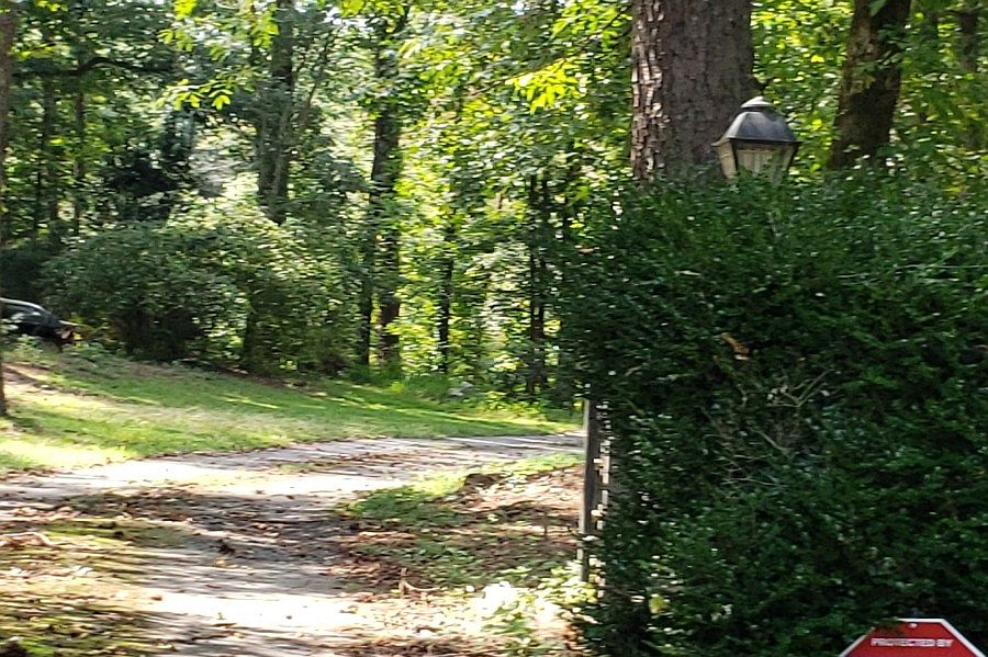 1st image of 776 S Hileah Ct