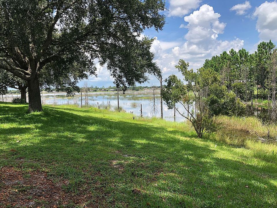 View from the patio