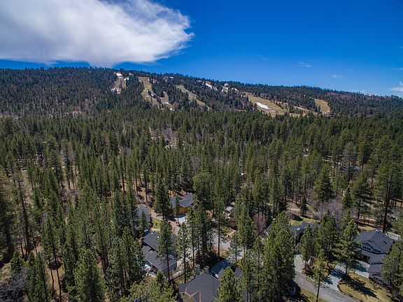 3rd image of 733 Snowbird Ct