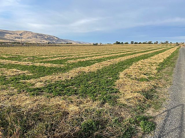 2nd image of N Hosko Rd #1