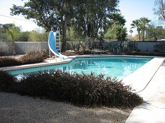 Backyard/Pool