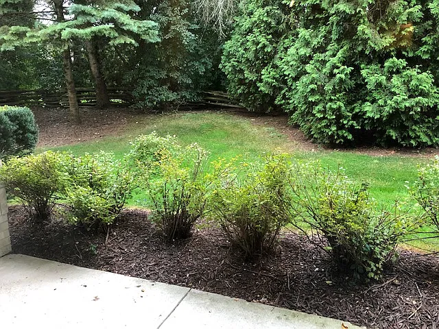 2 bed, $1,850 — Photo 3