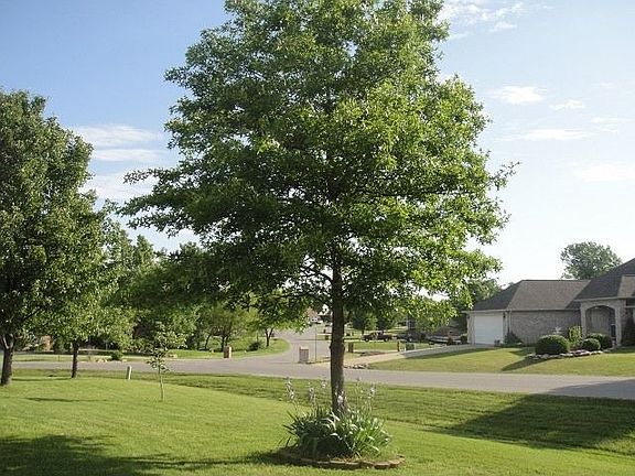 2nd image of 25490 Berry Pickin Ln