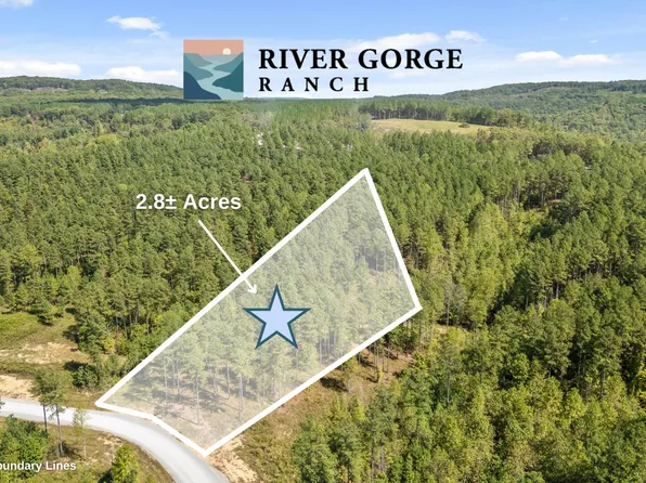1098 Birds Eye Way, Guild, TN 37340