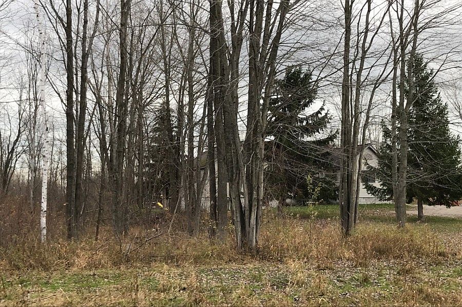 2nd image of 1717 S Swenson Rd