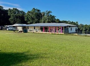 36015 Good Hope Rd, Dozier, AL 36028