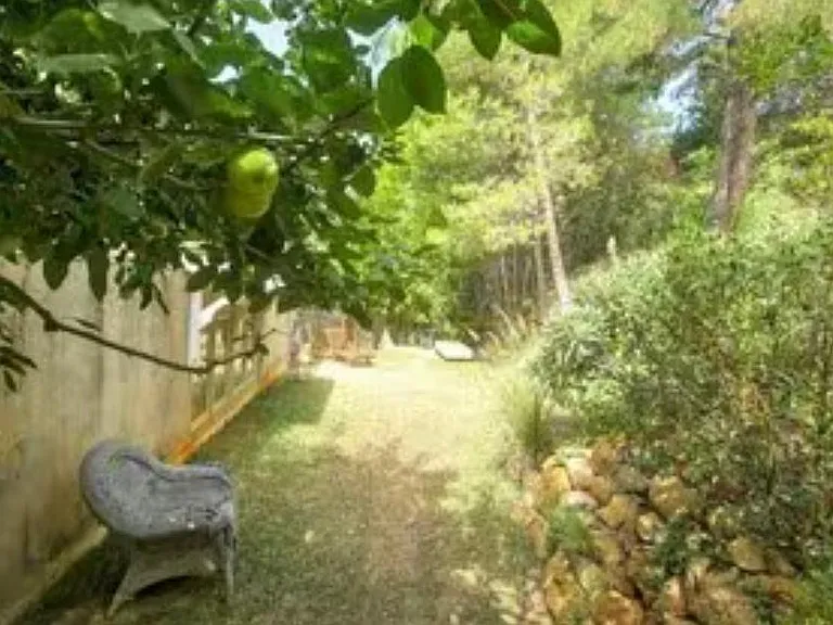 NW side yard