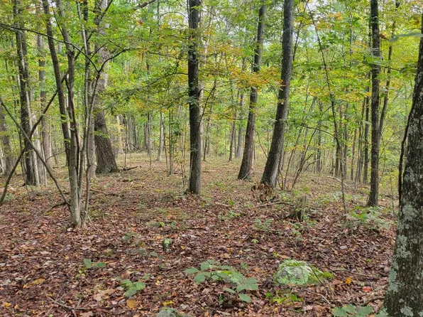 Bear Rd, Delray, WV 26714