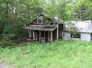 351 Gilmantown Rd, Wells, NY 12190