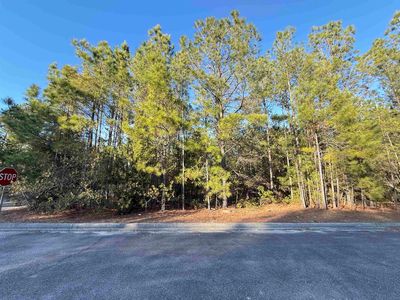 153 Bridge View Rd., Georgetown, SC, 29440