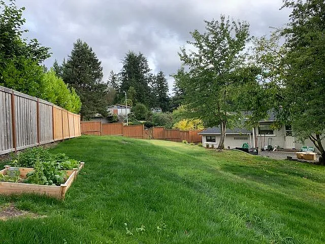 807 Birch St — Photo 25