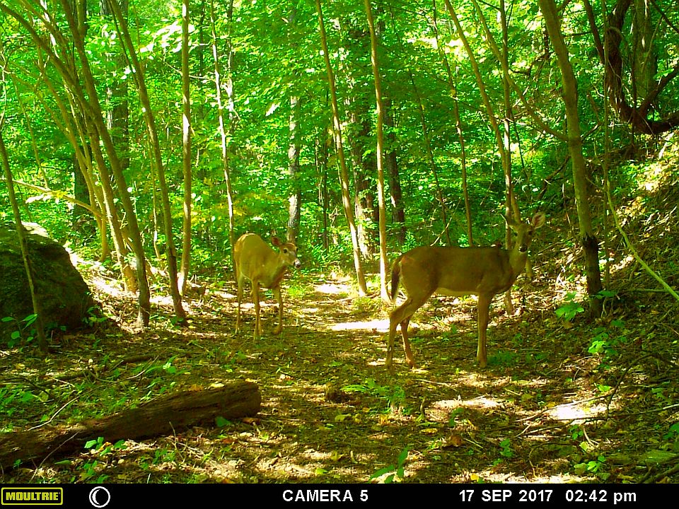 1st image of Grandview Dr
