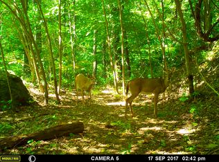 Grandview Dr, Hot Springs, NC 28743