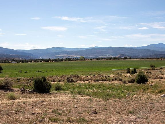pasture