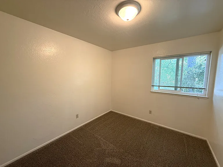 390 Ash St #4 — Photo 8