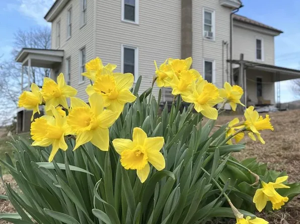 148 Falck Rd, Rebuck, PA 17867