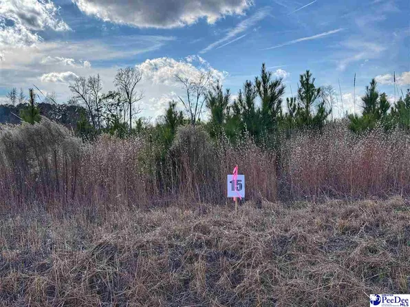 LOT 15 E Academy St, Latta, SC 29565