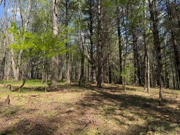 TBD (0.96 acre) Crestview Drive West, Creston, NC 28615