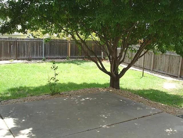 2106 Laramie Ct — Photo 19