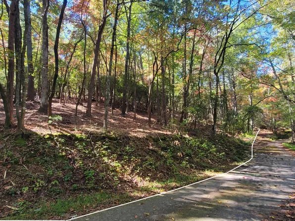 T S Jarrard Rd, Dahlonega, GA 30533