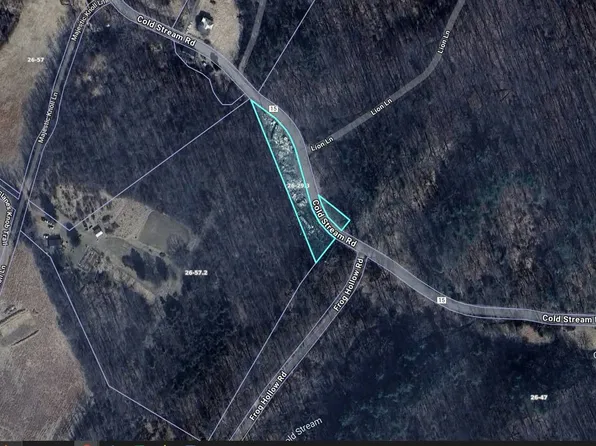 3949 Cold Stream Rd, Capon Bridge, WV 26711