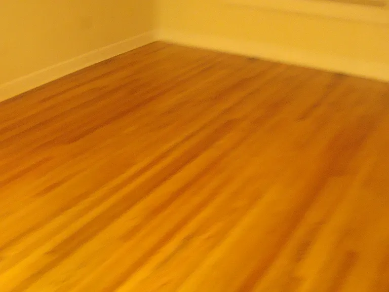 517 N Wilson Ave #201 — Photo 3