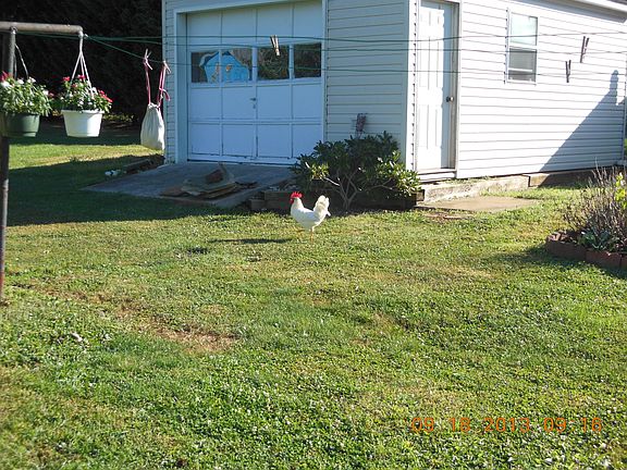 garage: tractor/yard tools
