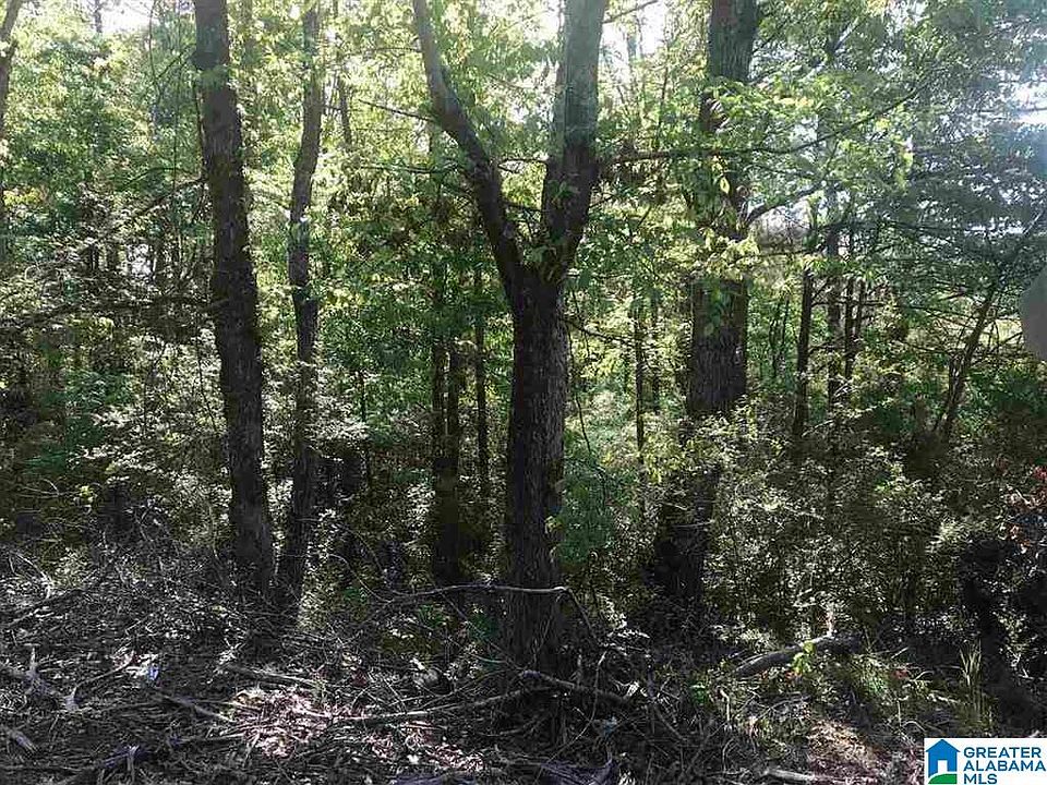 7232 Lowetown Rd, Mc Calla, AL 35111 Zillow