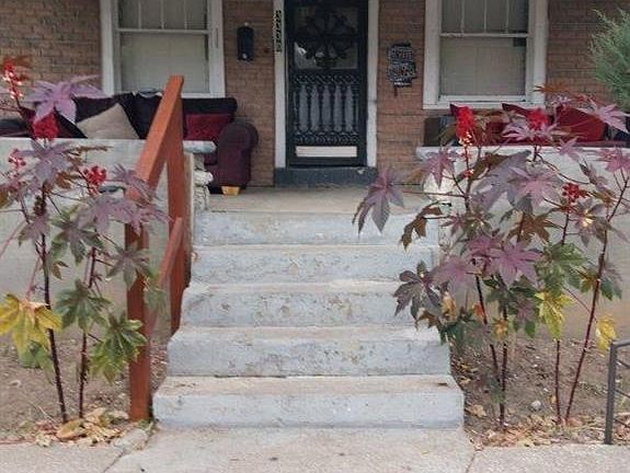 4th image of 3330 Bales Ave