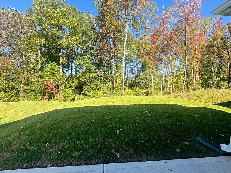 210 Palm Dr — Photo 19