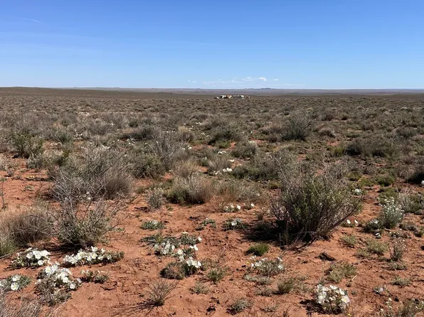 5647 Kohl Rd, Snowflake, AZ 85937