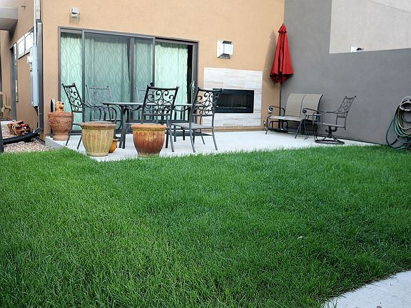 Back yard