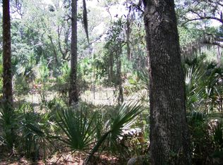 3300 Ritchie Rd, Geneva, FL 32732