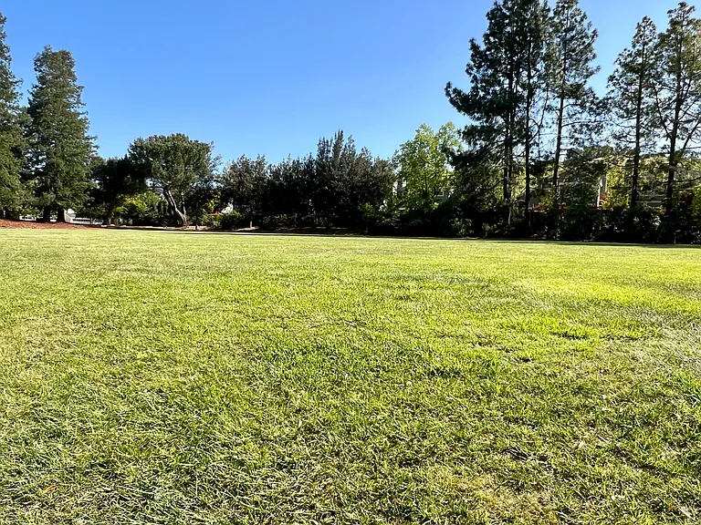 11688 Olive Spring Ct — Photo 23