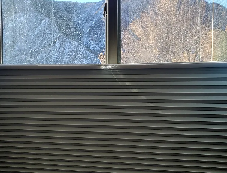 2015 Blake Ave #28 — Photo 8