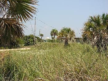 4th image of 208 Via De Luna Dr