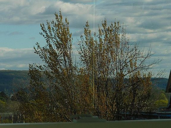 A Beautiful Mountain View