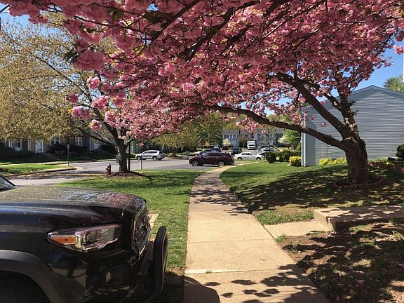 5th image of 8345 Brockham Dr