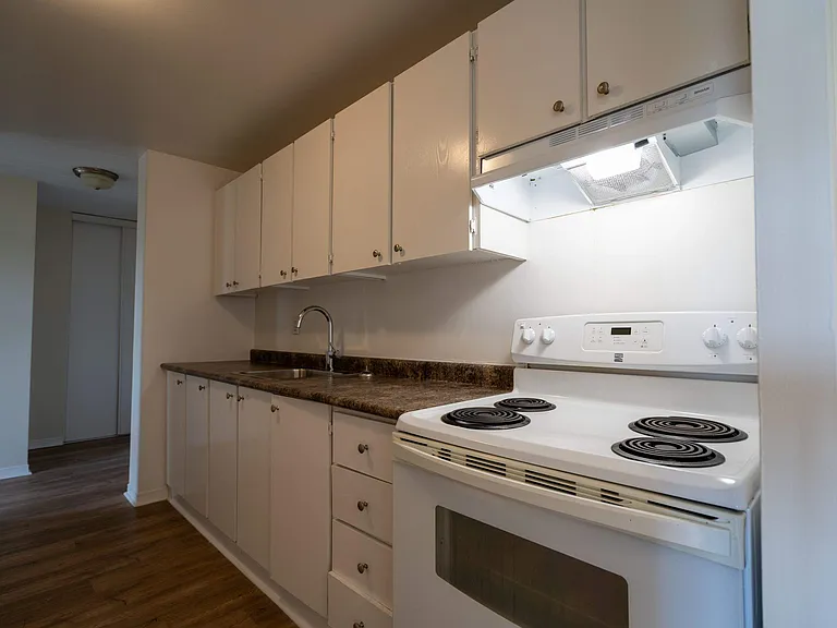 283 Maclaren St — Photo 10