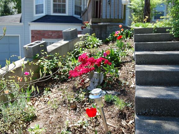front yard
