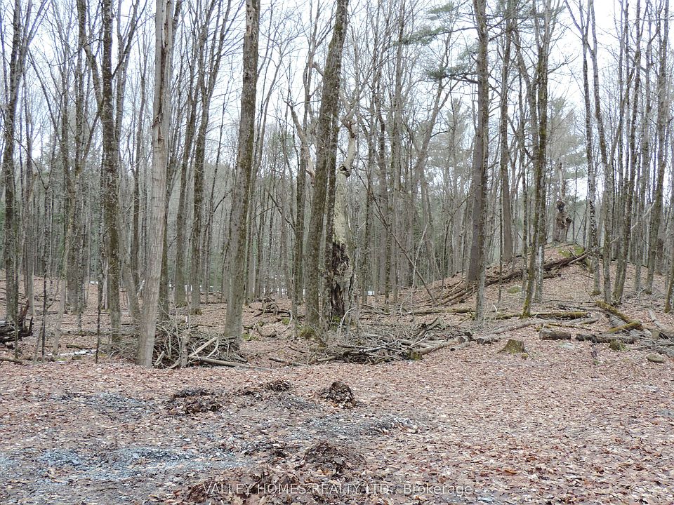 1st image of L1 Harding Rd #297