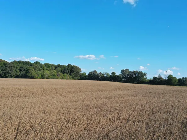 0 Wingo Rd #129, Wingo, KY 42088